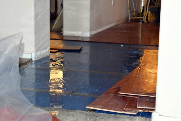 Professional Emergency Water Damage Restoration technician working in New Vienna, OH